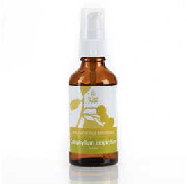 Huile de calophyllum inophyllum - Distillerie Saint-Hilaire Auvergne - Diy ingredients