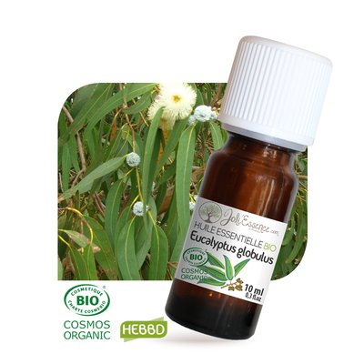 Huile essentielle Eucalyptus globulus Bio - Joli'Essence - Diy ingredients