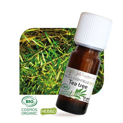 Huile essentielle Tea tree Bio - Joli'Essence - Diy ingredients