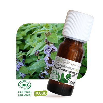 Huile essentielle Menthe des champs Bio - Joli'Essence - Diy ingredients