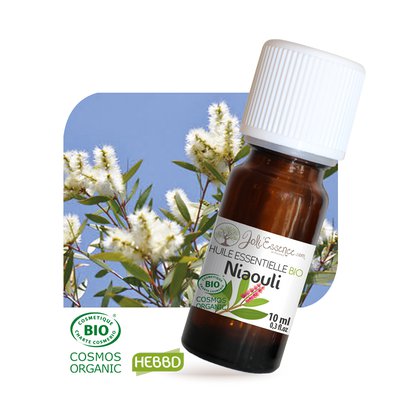 Huile essentielle Niaouli Bio - Joli'Essence - Diy ingredients