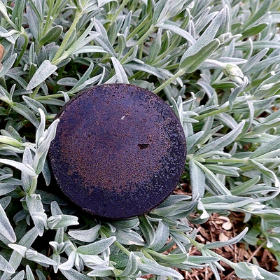 Soap - SECRETS D'ALOYSE - Hair